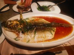 -采悦轩中餐厅·粤菜·海南菜(神州半岛喜来登度假酒店)