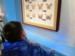 -上海昆虫博物馆