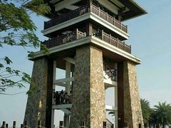-大湾区中央湿地公园