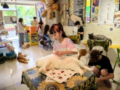 -平行世界·猫咖(首经贸店)