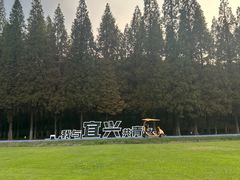 -宜兴龙背山森林公园