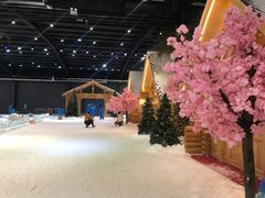 -宁波冰雪大世界(北仑区)