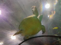 -苏州海洋馆