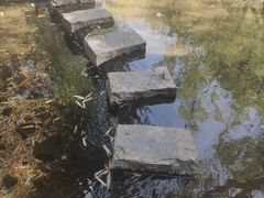 -竹泉村旅游度假区