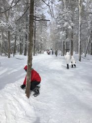 -大秃顶子山