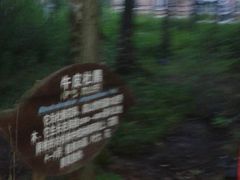 -峡谷浮石林景区