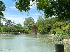 -嘉定紫藤园
