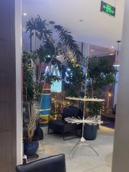-悦SALON
