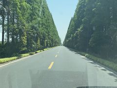 -黄海国家森林公园