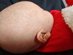 -上海小小宝婴儿理胎发胎毛笔