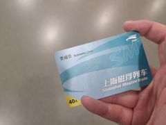 -龙阳路磁悬浮列车总站-停车场