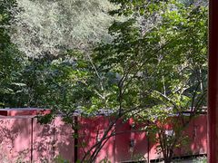 -长春市南湖公园