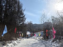 -香炉山国家森林公园