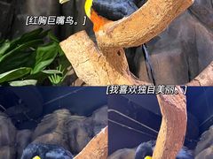 -正佳雨林生态植物园
