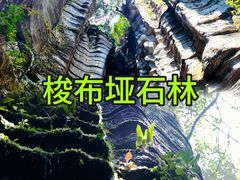 -梭布垭石林景区