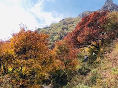 -灵山