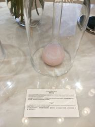 -NaturaBisse悦碧施