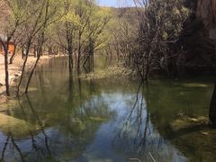 -辛玛王国游乐园