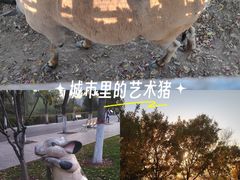 -太原动物园