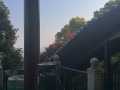 -庐山风景名胜区-东林大佛