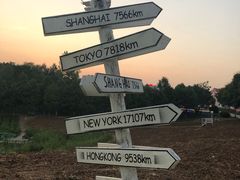 -大塘金香草谷