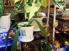 -Rabbit Cafe私房西餐甜点咖啡(栖霞路店)