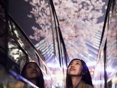 -上海南浦大桥长途旅游客运站