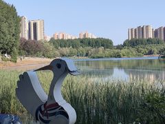 -丁香湖公园