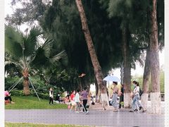 -宝安西湾红树林湿地公园