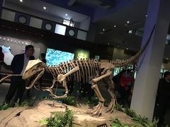 -自贡恐龙博物馆