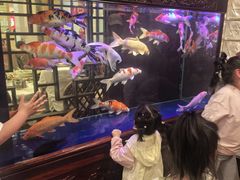 -庐州太太(鼓楼店)