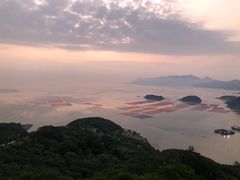 -花竹村