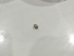 -小放牛炒菜馆(裕华东路店)