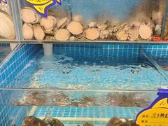 -韩记海鲜饺子旗舰店(红海新区店)