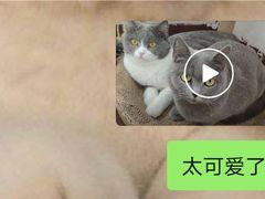 -联合动物医院(光谷诊疗中心)