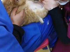 -芭比堂动物医院·犬猫全科·异宠专科(雁塔分院)