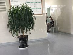 -上海交通大学医学院附属仁济医院东院·停车场