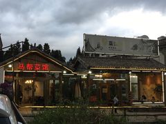-马帮菜馆·美味野生菌