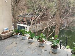 -天怡·鱼工厂(梅溪湖店)