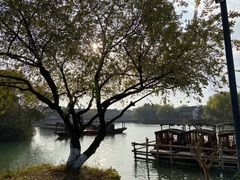 -乌镇景区