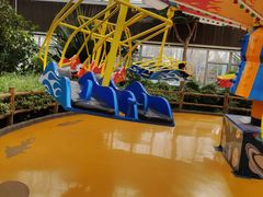 -南宫五洲植物乐园