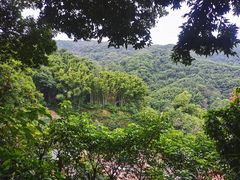 -广州市帽峰山景区