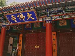 -张掖大佛寺景区