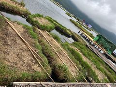 -腾冲北海湿地