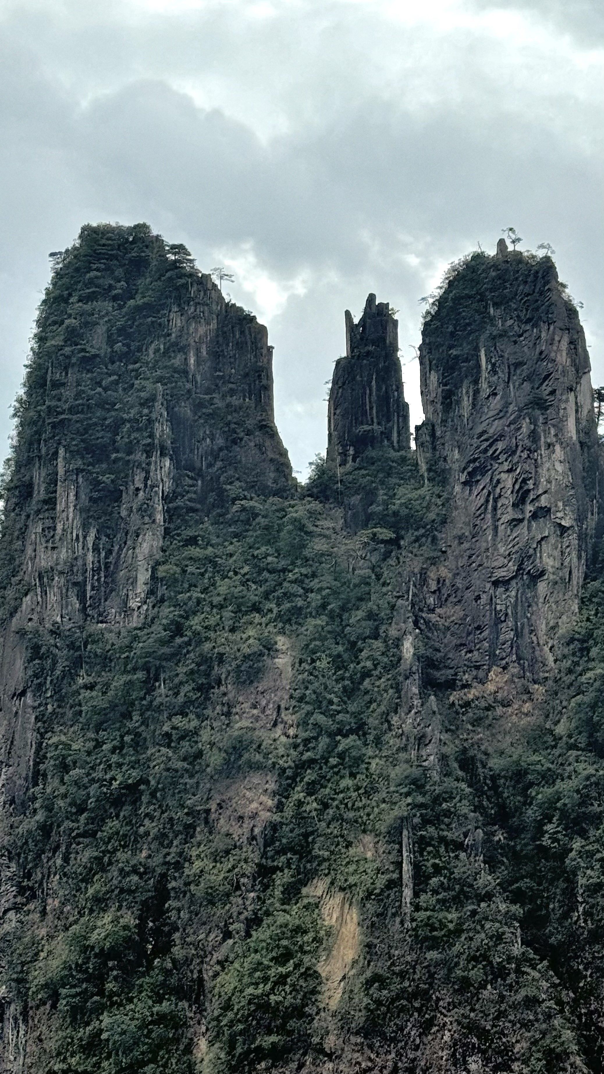 莽山五指峰:云端仙境触手可及