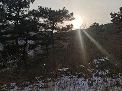 -北京西山国家森林公园