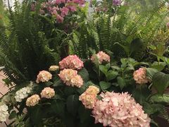 -艾溪湖湿地公园