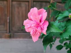 -海窝子古镇