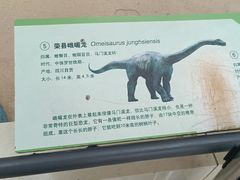 -天津自然博物馆