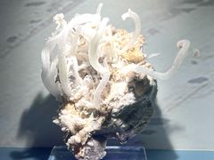 -甘肃地质博物馆